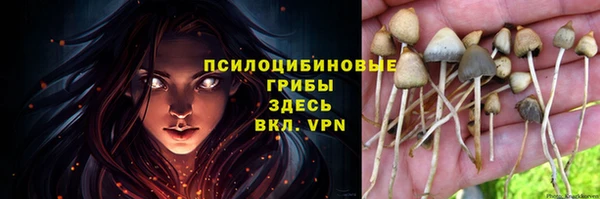 mdpv Заволжск