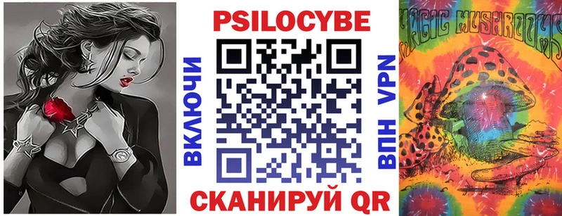 дарнет шоп  Ковров  Галлюциногенные грибы GOLDEN TEACHER 